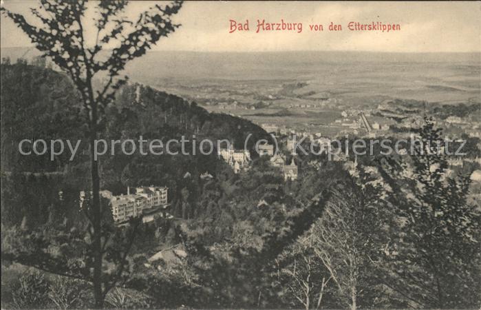Bad Harzburg Panorama von Ettersklippen