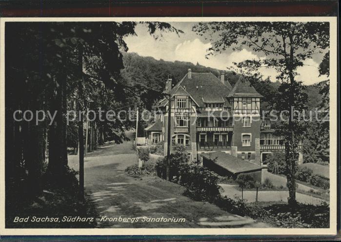 Bad Sachsa Harz Kronbergs-Sanatorium