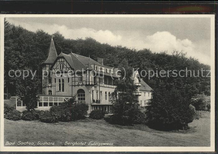 Bad Sachsa Harz Berghotel Eulingswiese