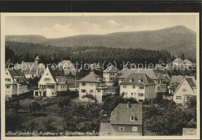 Bad Sachsa Harz Villa am Knickberg