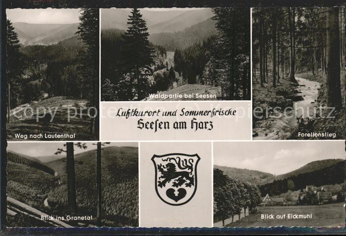 Seesen Harz Forellenstieg Granetal Eickmuhl Wappen