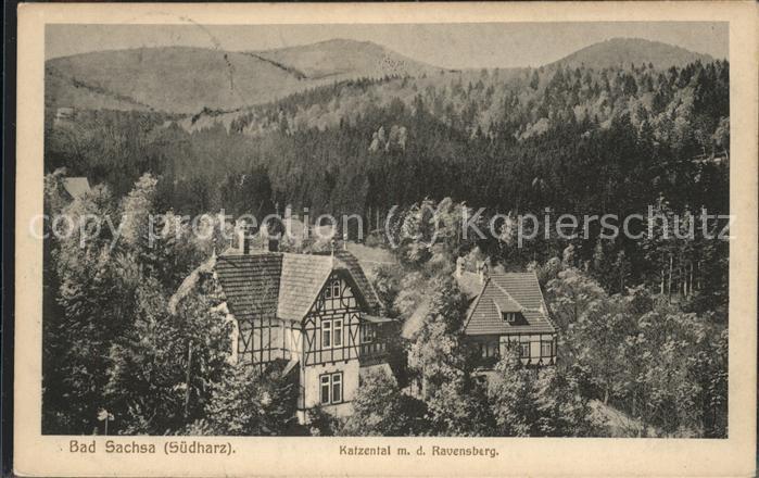 Bad Sachsa Harz Katzental Ravensberg