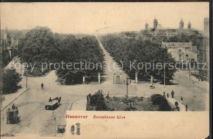 HANNOVER CITY Herrenhaeuser Allee Pferdewagen