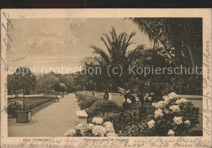 Bad Pyrmont Palmengruppe im Kurpark