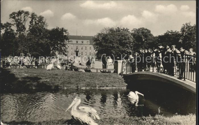 BERLIN  CITY Tierpark Friedrichsfelde