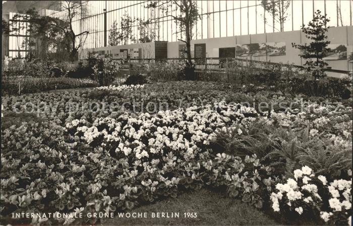 BERLIN  CITY Gruene Woche 63