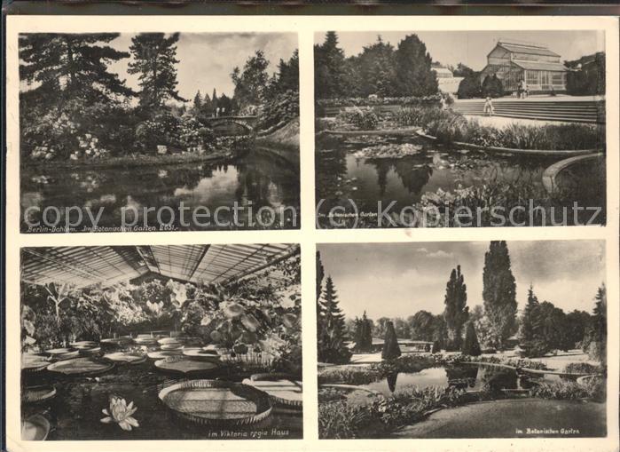 Dahlem Berlin Botanischer Garten Teilansichten