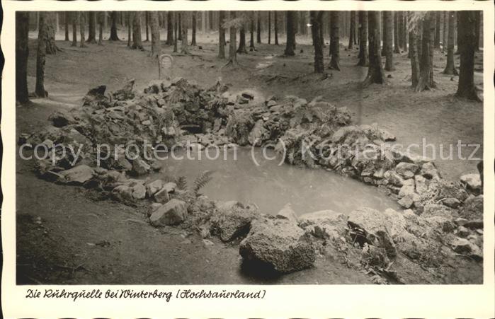 Winterberg Hochsauerland Ruhrquelle