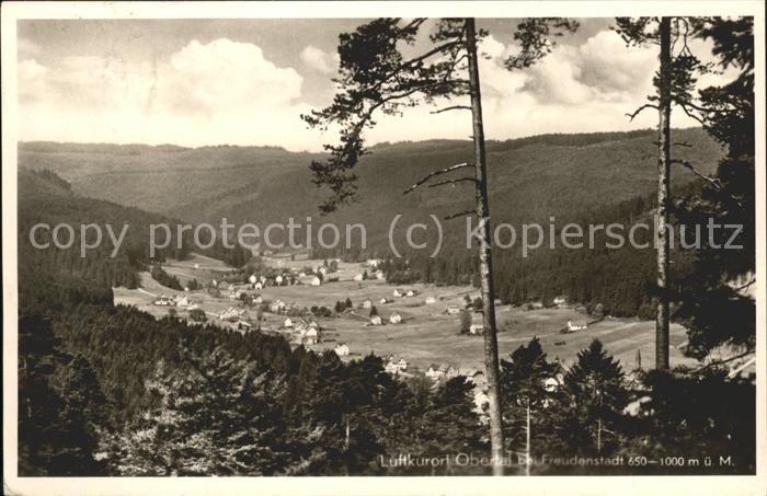 Buhlbach Obertal Panorama