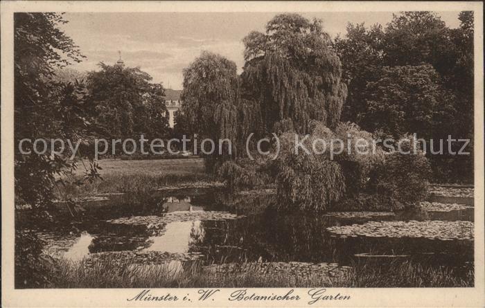 Muenster Westfalen Botanischer Garten