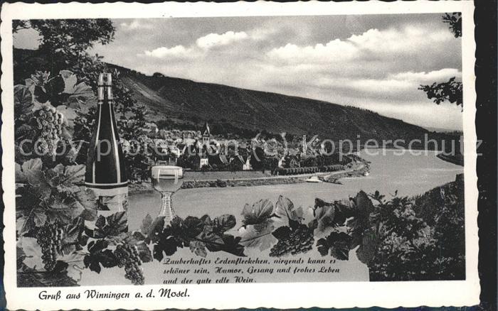 Winningen Mosel Panorama