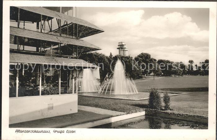 Essen Ruhr Pflanzenschauhaus Gruga