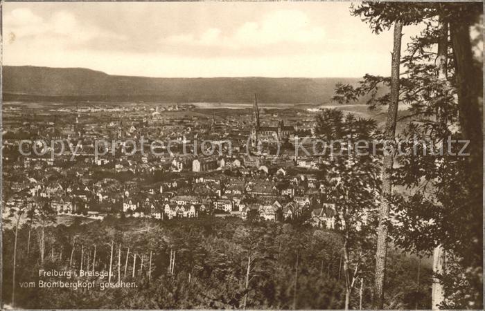 Freiburg Breisgau Blick vom Brombergkopf