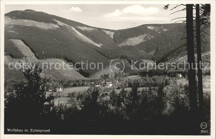 Riesengebirge Krkonose Karkonosze Wolfshau im Eulengrund