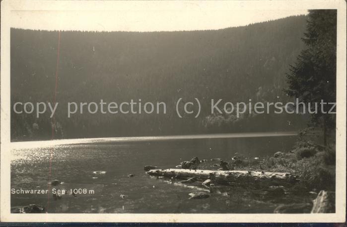 Schwarzer See Boehmerwald Seeblick