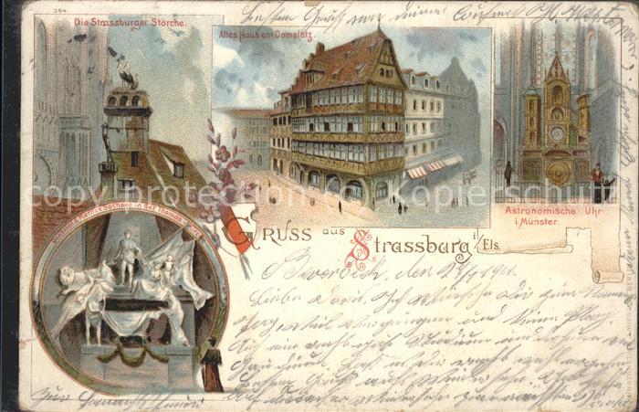 Strassburg Elsass Störche Altes Haus am Domplatz Astronom