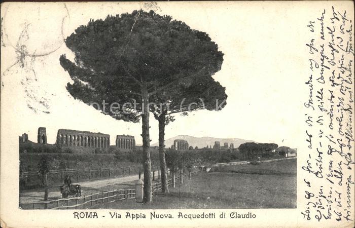Baeume Trees Roma Via Appia Nuova Acquedotti di Clau