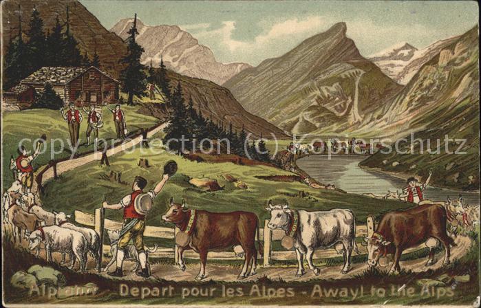 Kuehe Almabtrieb Bauern