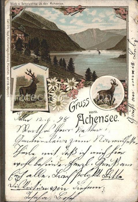 Achensee Geis Hirsch