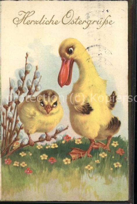 Ostern Easter Paques Küken Ente