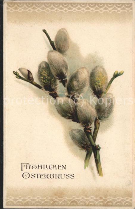 Ostern Easter Paques Weidenkätzchen