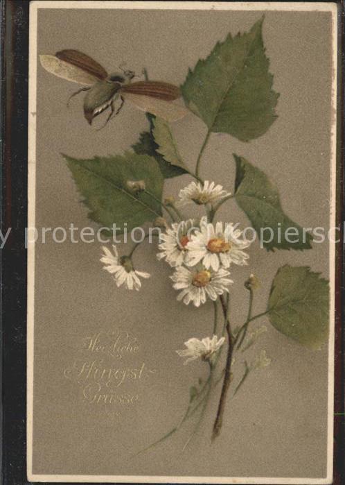 Pfingsten Pentecost Pentecote Grüsse Blumen