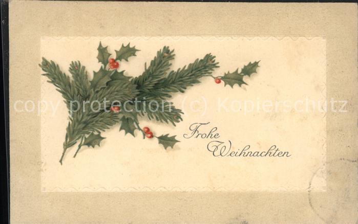 Weihnachten Tannenzweige