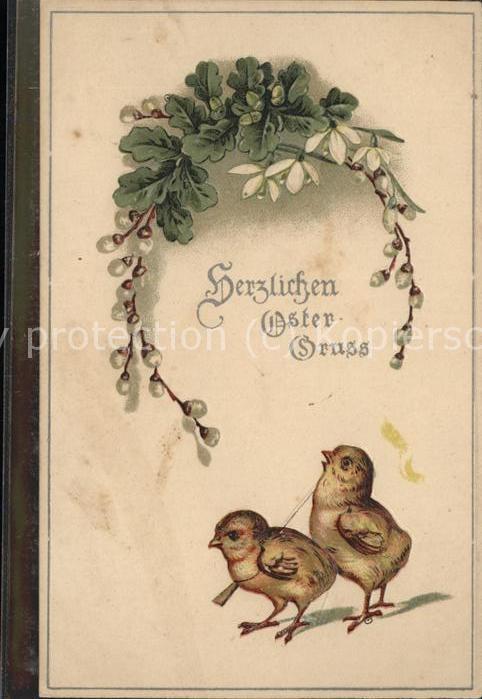 Ostern Easter Paques Küken