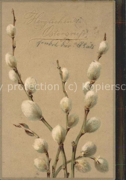 Ostern Easter Paques Weidenkätzchen