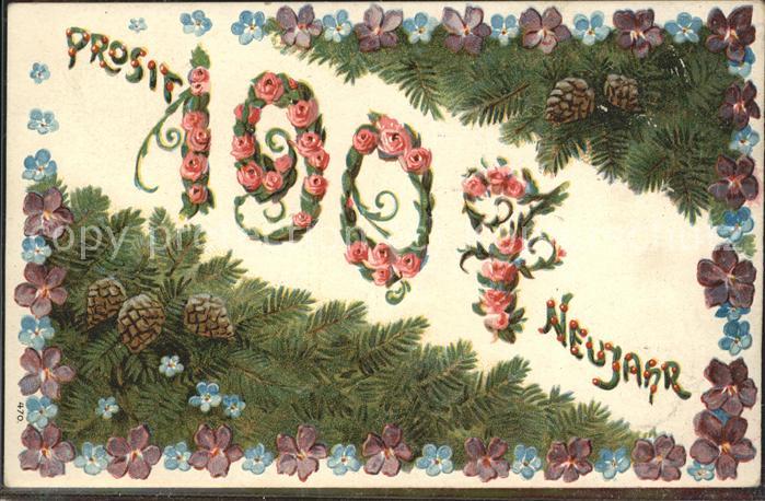 Neujahr Tannenzapfen