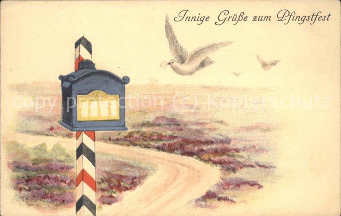 Pfingsten Pentecost Pentecote Brieftaube