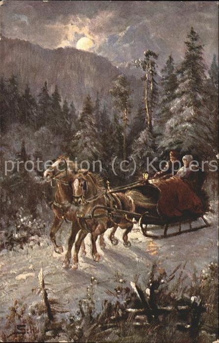 Tiere Pferdeschlitten