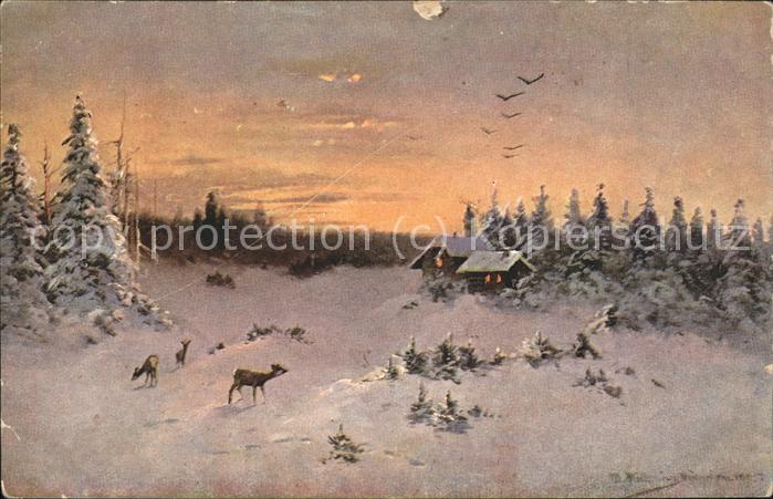 Tiere Rehe Waldhütte