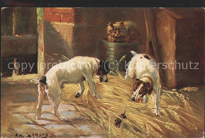 Tiere Hunde Maus Katze