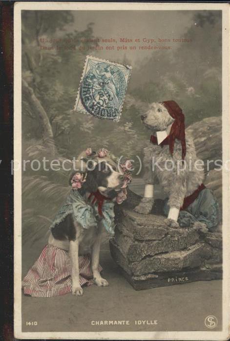 Tiere Hunde verkleidet