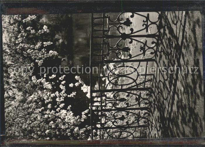 Pfingsten Pentecost Pentecote Herzliche Pfingsten