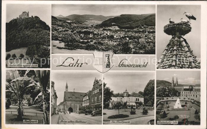Schwarzwald Lahr Stadtpark Storchfamilie Ruine