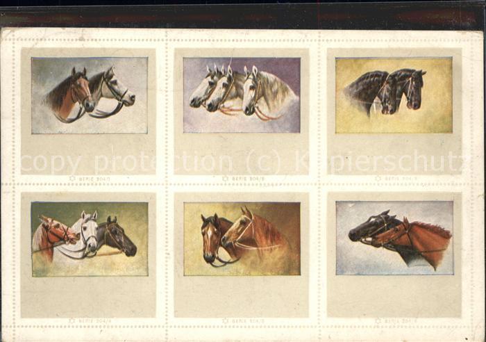 Pferde Pferdepaare Feldpost