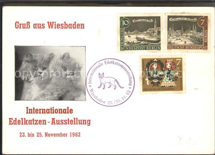 Katzen Edelkatzen-Ausstellung