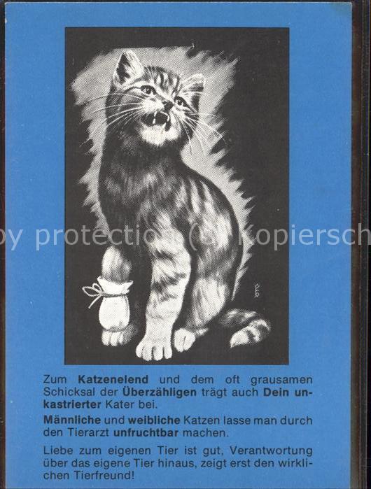 Tiere Katze Bund gegen den Missbrauch der Tie