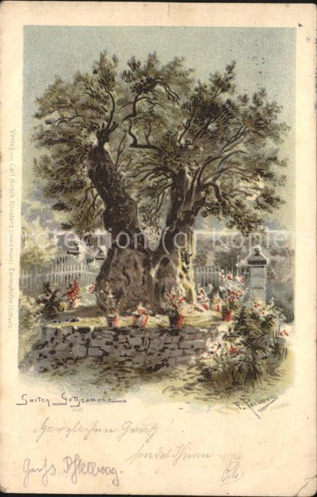 Kuenstlerkarte F. Perlberg Garten