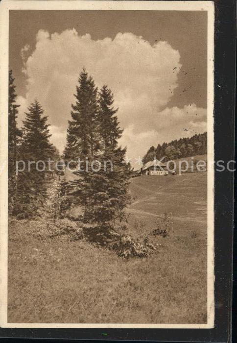 Schwarzwaldhaeuser Schwarzwaldhaus