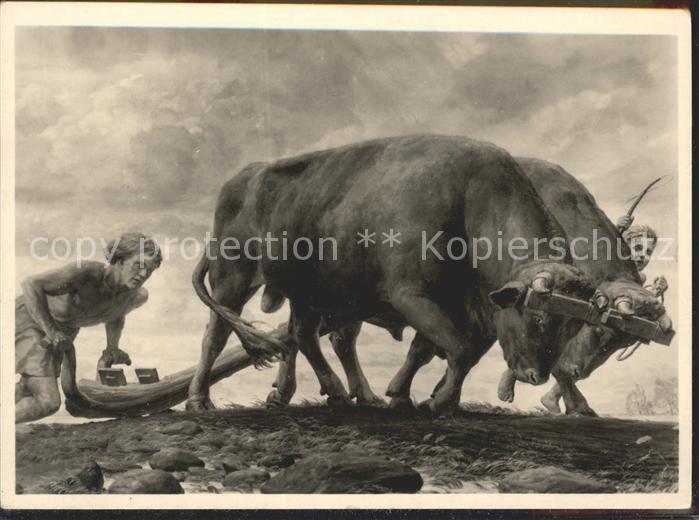 Kuenstlerkarte Urbarmachung im Osten Prof. Ferd. Staeg