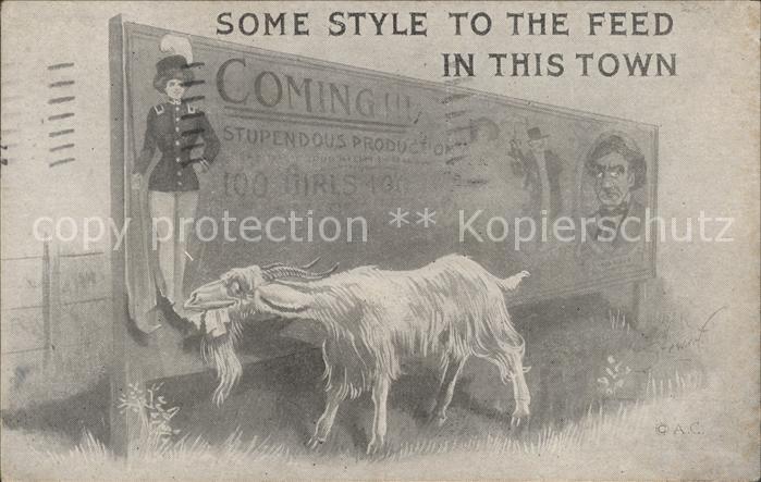 Ziege Plakat Werbung