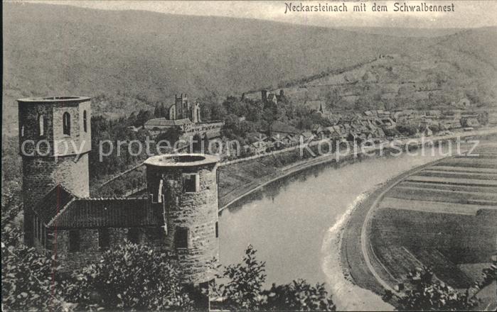 Neckarsteinach Schwalbennest Turm