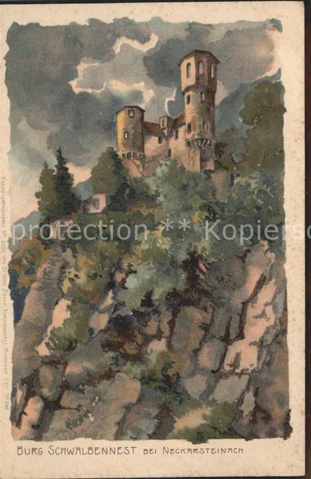 Neckarsteinach Burg Schwalbennest