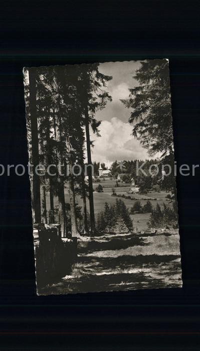 Oberbraend Wald Kirche