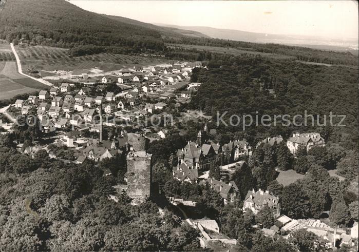 Falkenstein Taunus Fliegeraufnahme