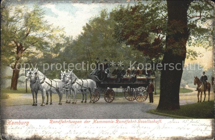 Hamburg Pferdewagen Rundfahrt im Park