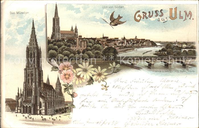 Ulm Donau Muenster Donau-Panorama